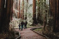 San Francisco Redwoods and Sausalito Private Tour thumbnail 1