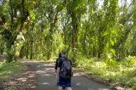 Big Island Tide Pool Hike and Jungle Adventure thumbnail 5