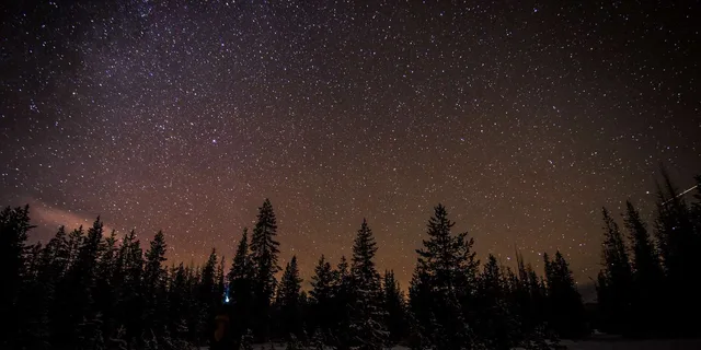 Bend Moonlit Snowshoe Tour - Image 3