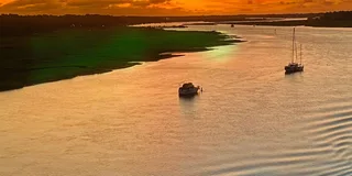 Hilton Head Dolphin Tour at Sunrise