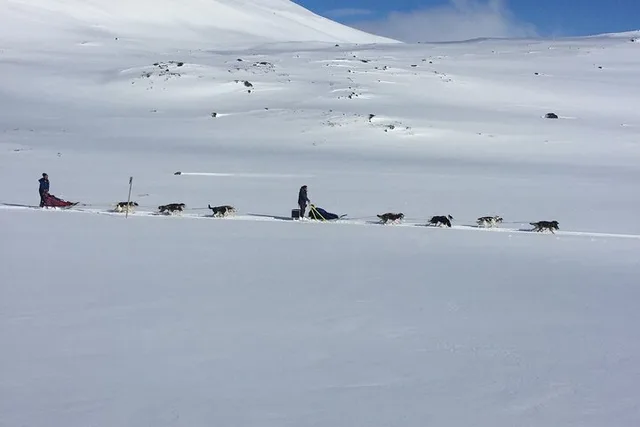 Fairbanks Husky Adventure with Your Own Dog Team 5 Days - Image 1
