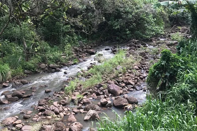 Oahu North Shore Tour with Waimea Falls Swim - Image 3
