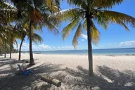 West Palm Beach Jet Snorkel Experience thumbnail 5