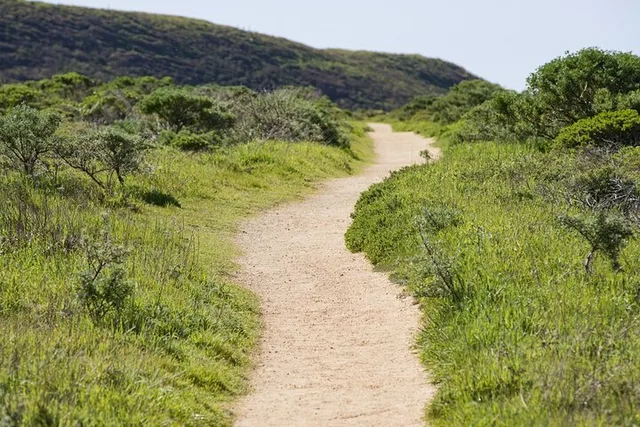 Point Reyes Audio Driving Tour - Image 3