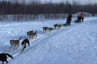 Fairbanks Dog Sledding Adventure thumbnail 4