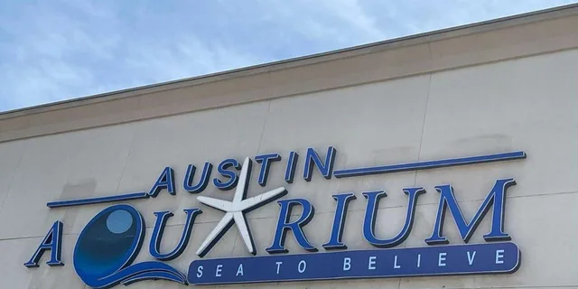 Austin Aquarium Entry Ticket - Image 1