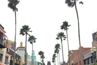 Los Angeles Hollywood Walk of Fame Walking Tour thumbnail 6