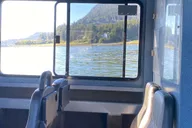 Juneau Mendenhall Glacier and Whale Watching Tour thumbnail 4