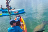 Sarasota Lido Key Mangrove Tunnel Kayak Tour 2 hr thumbnail 2