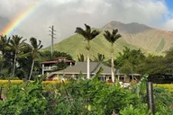 West Maui Mango Farm Tour at Sunset 2 hr thumbnail 5