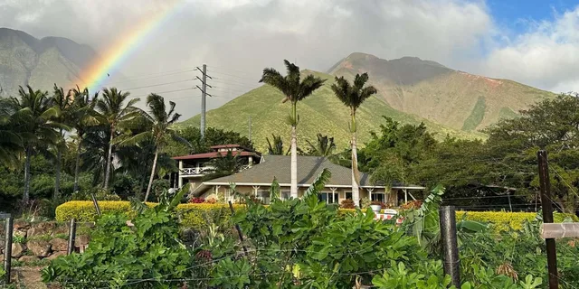 West Maui Mango Farm Tour at Sunset 2 hr - Image 5