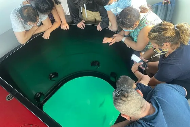Long Beach Glass Bottom Boat Eco-Tour - Image 2