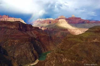 Williams Grand Canyon Sightseeing Tour