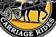 New York City Central Park Horse-Drawn Carriage Tour thumbnail 1