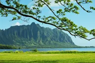 Oahu Pearl Harbor and Scenic Tour thumbnail 5