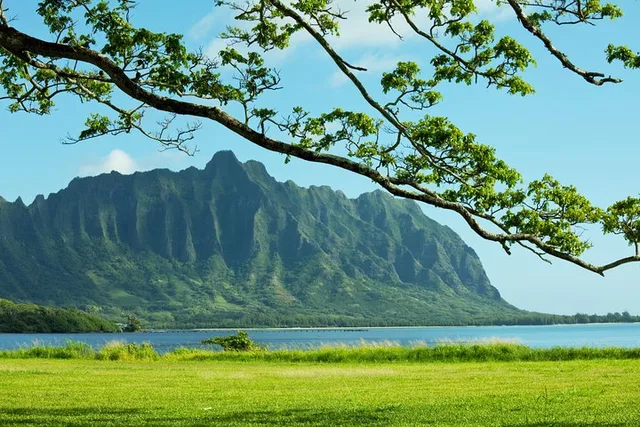 Oahu Pearl Harbor and Scenic Tour - Image 5