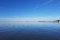 Indian River Lagoon Boat Tour thumbnail 3