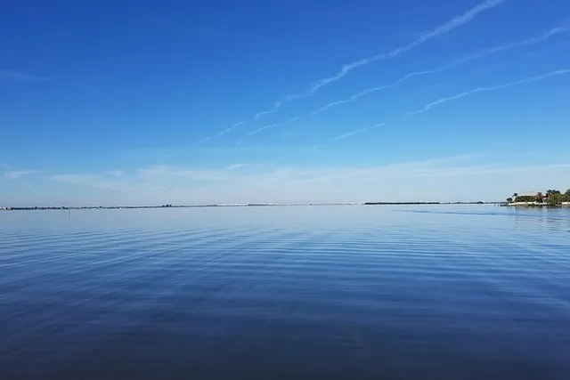 Indian River Lagoon Boat Tour - Image 3