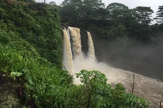 Hilo Volcanoes National Park Adventure Tour