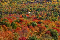Hudson Valley Helicopter Tour thumbnail 1