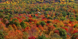 Hudson Valley Helicopter Tour
