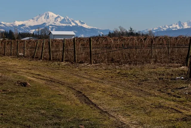 Bellingham Border Corner Tour - Image 5