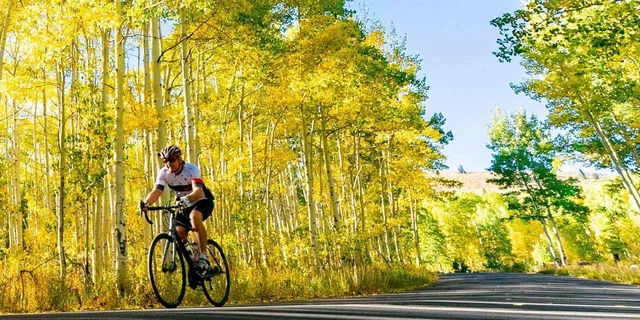 Traverse City Bike Wine Tour - Image 3