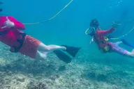 Kauai SNUBA Diving Experience thumbnail 1