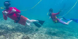 Kauai SNUBA Diving Experience
