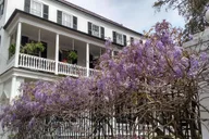 Charleston Historical Walking Tour with Storytelling thumbnail 2