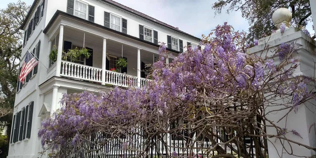 Charleston Historical Walking Tour with Storytelling - Image 2