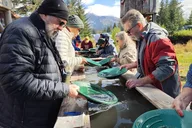 Seward Gold Panning Experience thumbnail 5