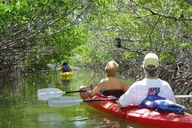 Key West Mangrove Kayak Eco Tour thumbnail 1