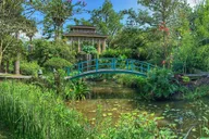 New Orleans Houmas House Plantation Tour thumbnail 3
