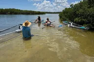 New Smyrna Beach Clear Kayak Tour thumbnail 5