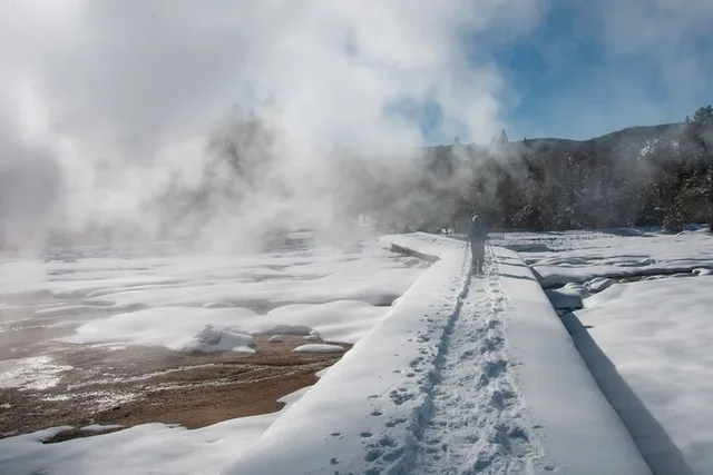 Yellowstone Winter Wildlife Safari - Image 6