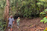 Kona Cloud Forest Sanctuary Guided Walk thumbnail 5