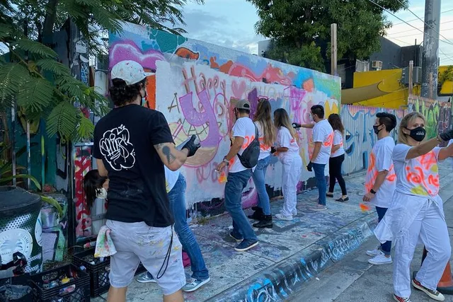 Miami Graffiti Master Class in Wynwood 1 hr - Image 4