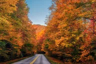Blue Ridge Mountains Scenic Driving Tour thumbnail 3