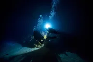 Oahu Night Dive Adventure thumbnail 1