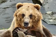 Sitka Private Tour thumbnail 1