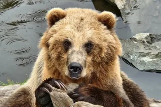 Sitka Private Tour