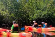 Miami Everglades National Park Kayaking and Hiking Tour thumbnail 4