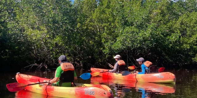 Miami Everglades National Park Kayaking and Hiking Tour - Image 4