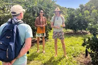 Kauai Tropical Fruit Tasting Tour thumbnail 3