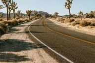 Las Vegas to Los Angeles Tour via Joshua Tree thumbnail 3