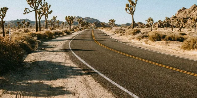 Las Vegas to Los Angeles Tour via Joshua Tree - Image 3
