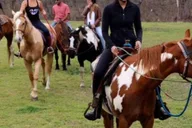 Austin Horsemanship Trail Ride 3.5 hr thumbnail 5