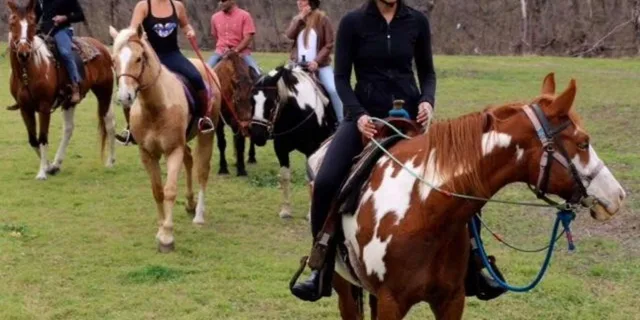 Austin Horsemanship Trail Ride 3.5 hr - Image 5