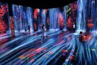Miami Superblue Immersive Art Experience thumbnail 5